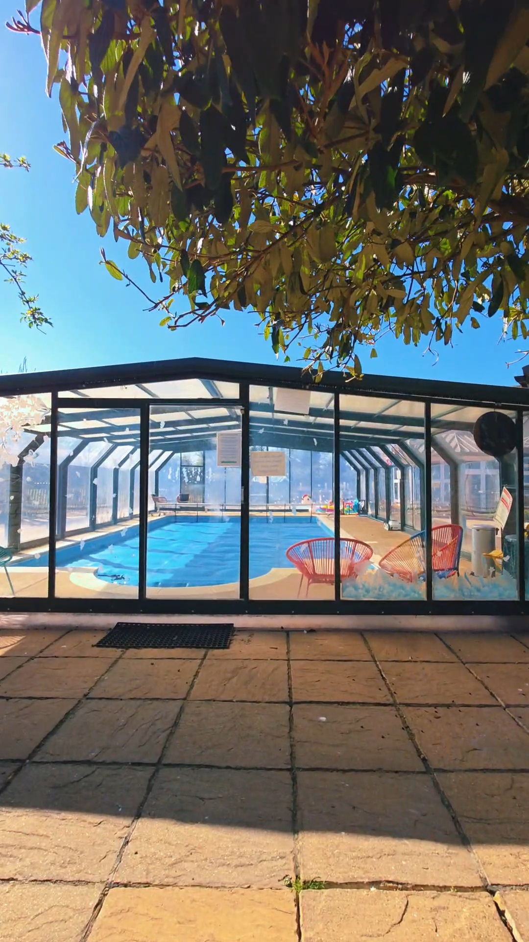 Alpaca Lodge Glamping, best family getaway with swimming pool