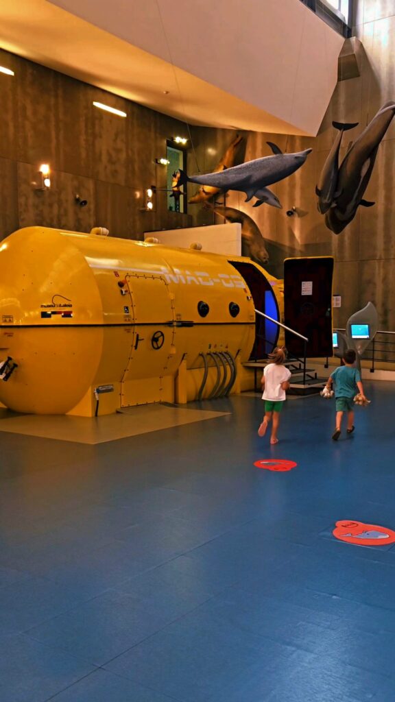 things to do for families visiting Madeira island with kids