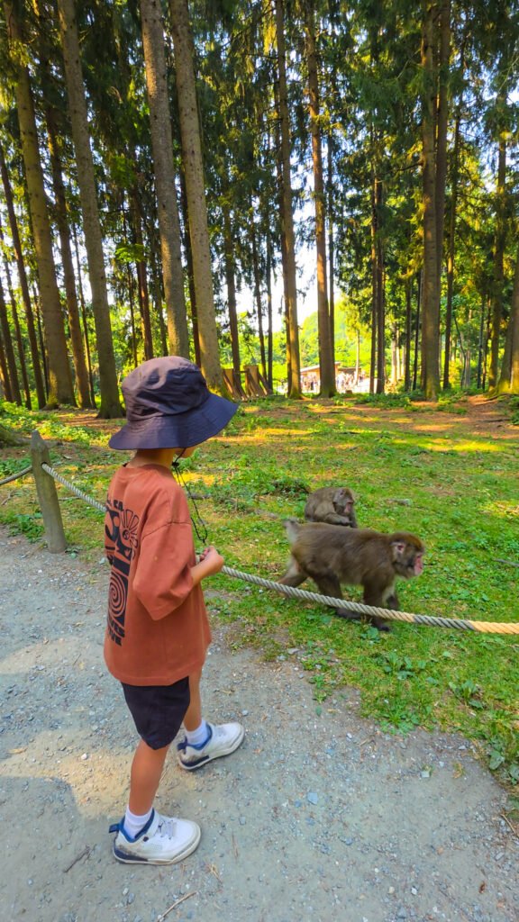 Carinthia Lake Holiday with Kids - family getaway